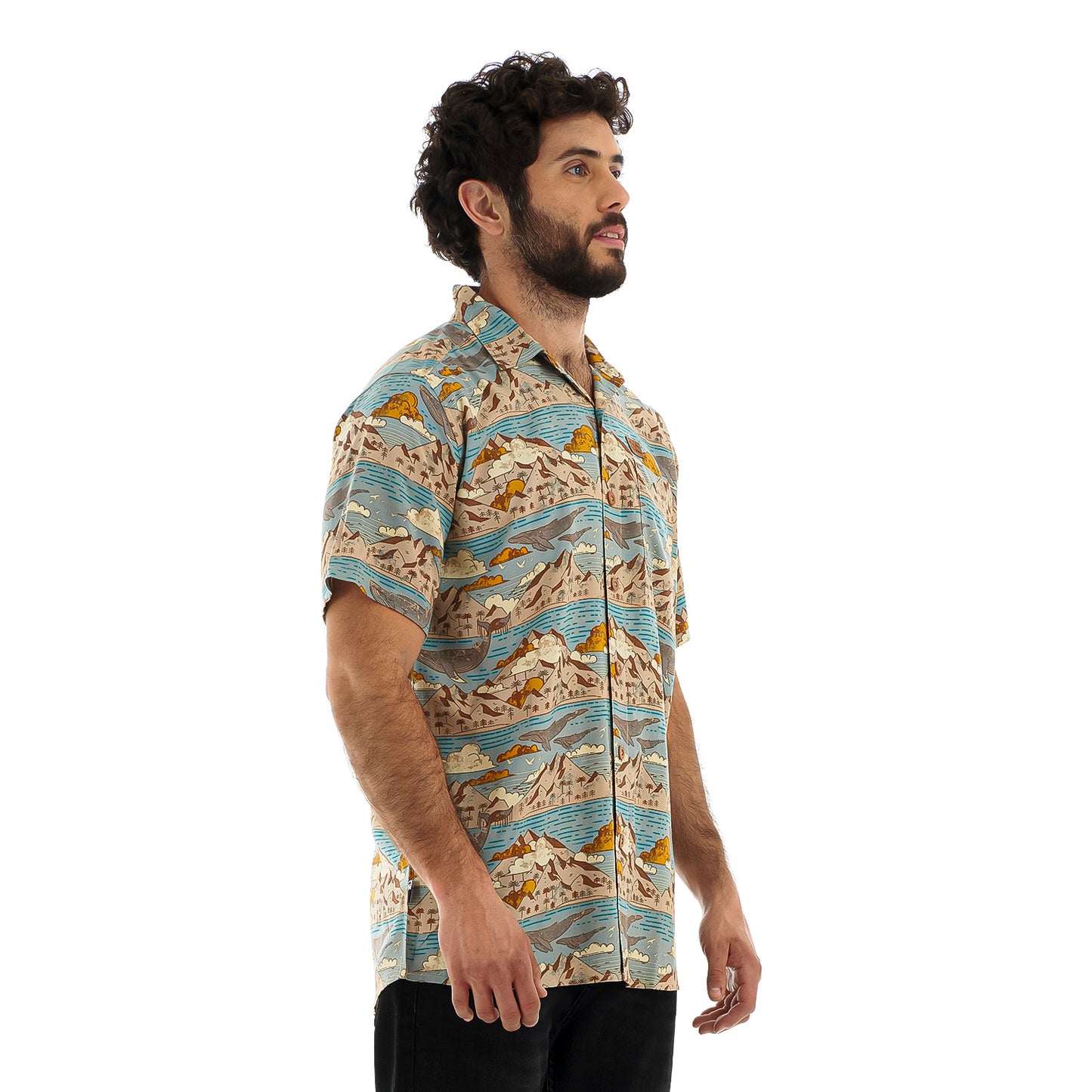 Camisa Hombre Anameizon Celeste Haka Honu