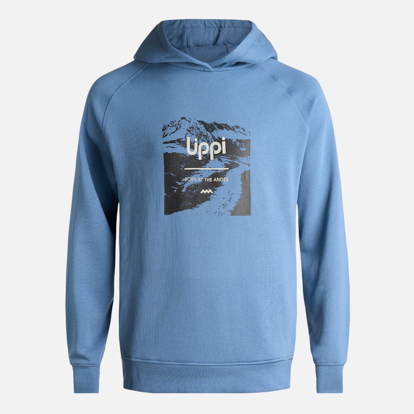 Poleron Hombre Insigne Hoody Sweatshirt Front Print Azul Grisaceo Lippi