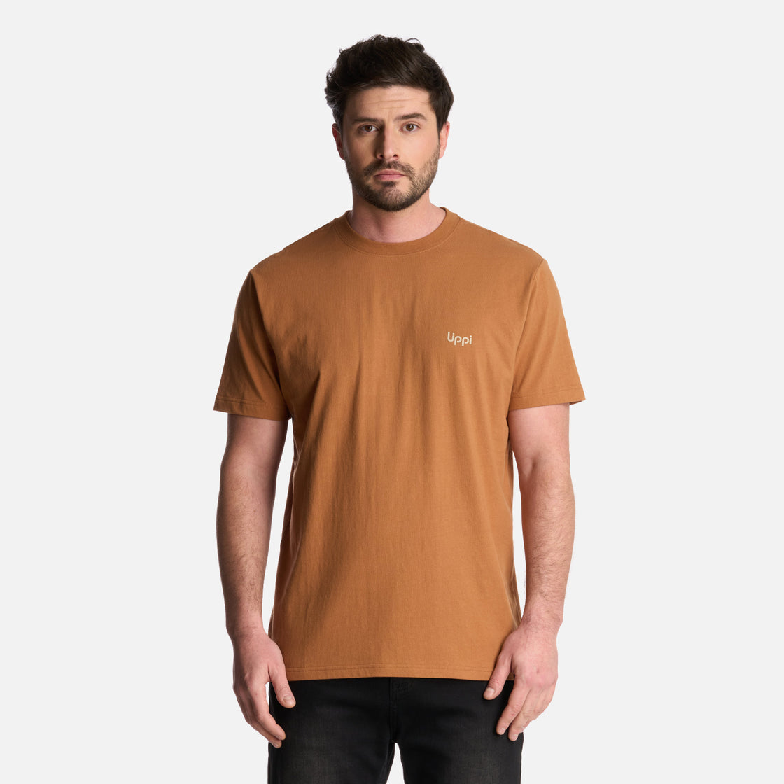 Polera Hombre Andes Mountain T-Shirt Camel Lippi