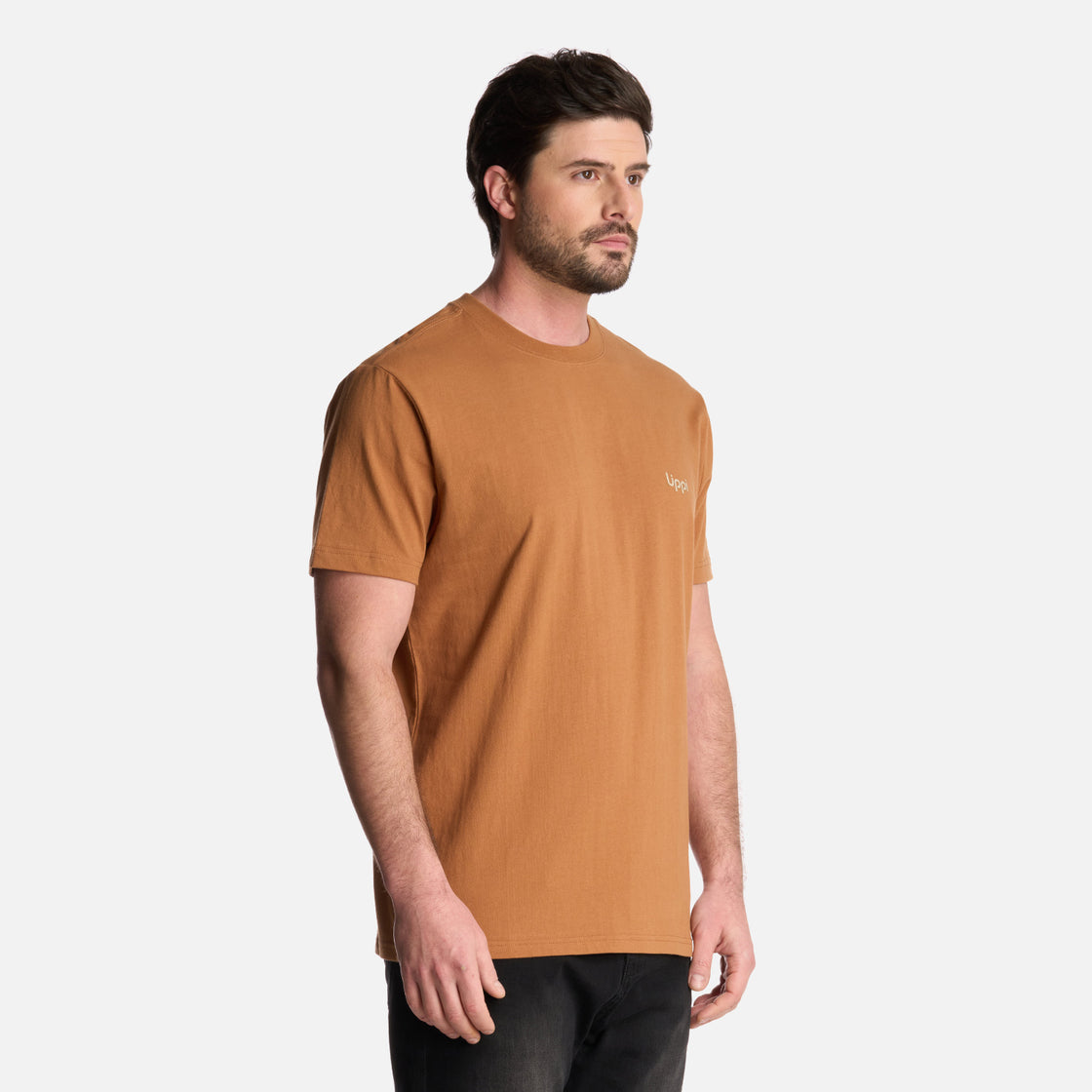 Polera Hombre Andes Mountain T-Shirt Camel Lippi