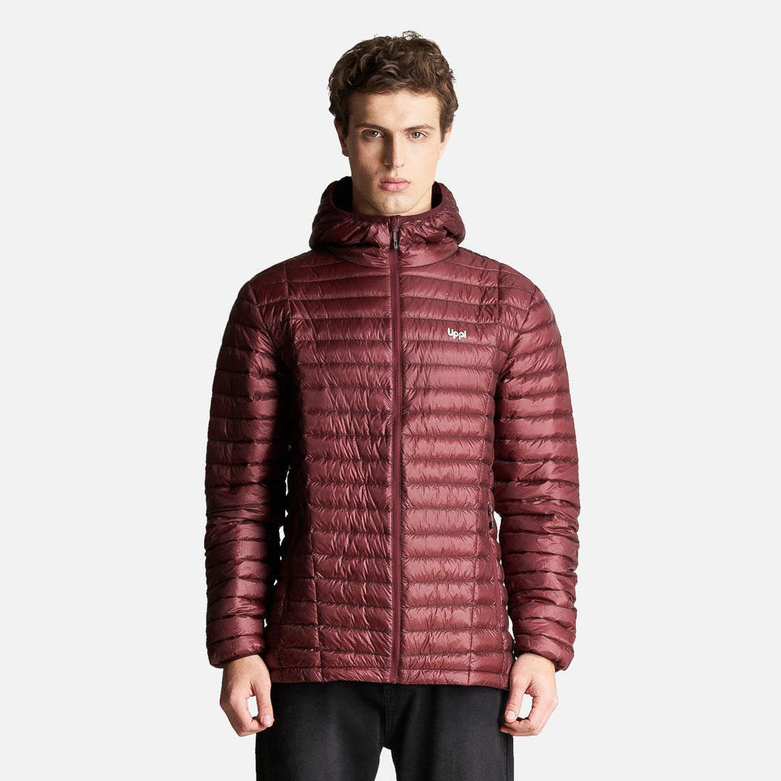 Chaqueta Hombre Peak Down Hoody Jacket Vino Lippi