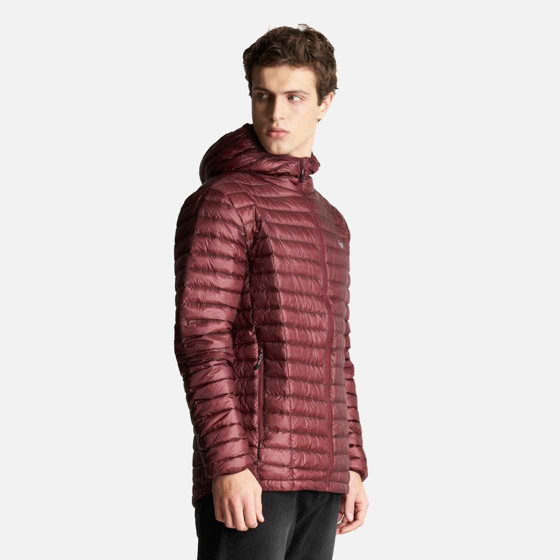 Chaqueta Hombre Peak Down Hoody Jacket Vino Lippi