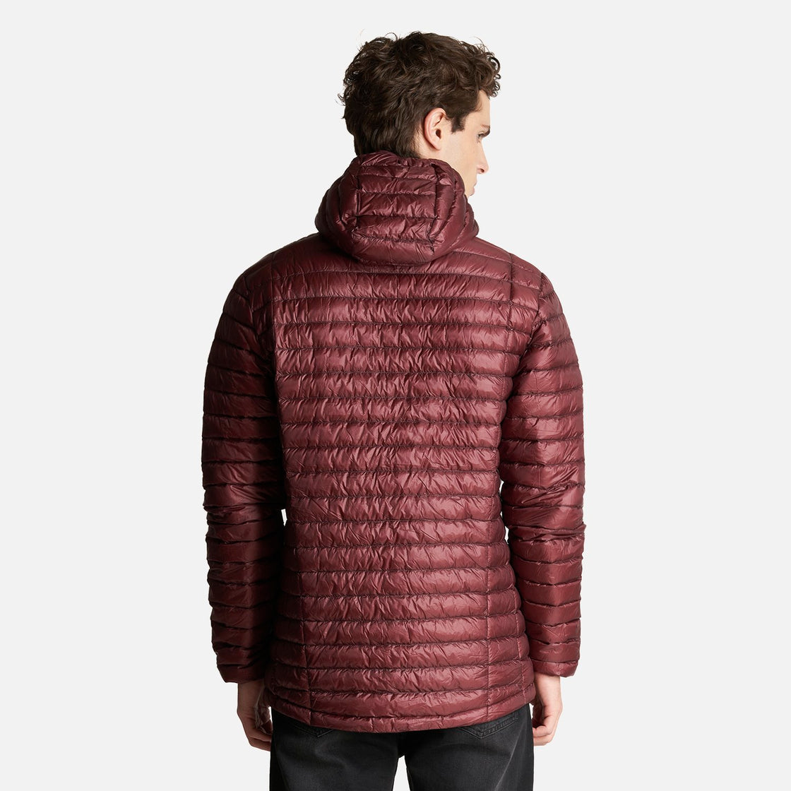 Chaqueta Hombre Peak Down Hoody Jacket Vino Lippi