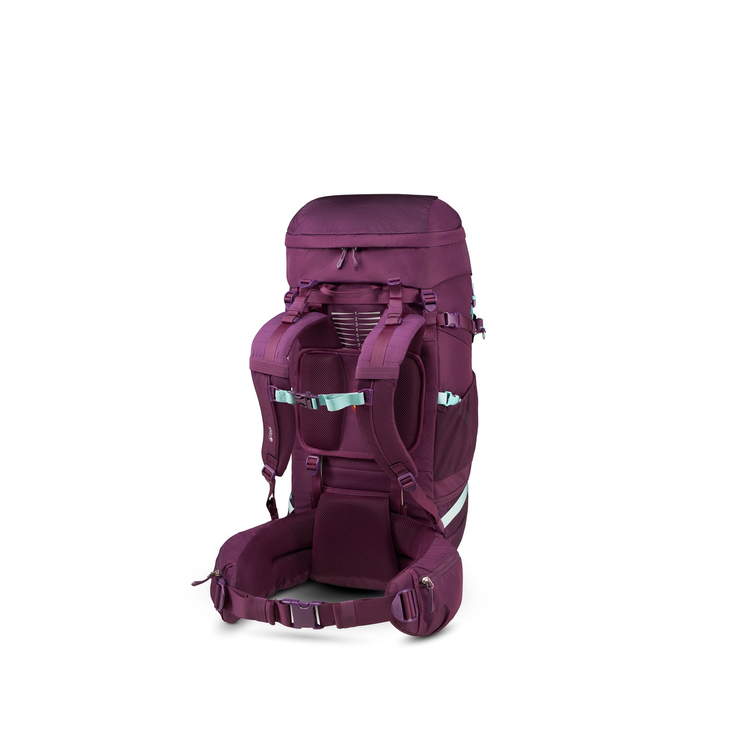 Mochila X-Perience 45 Backpack Morado Lippi